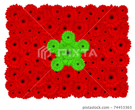 Moroccan flag made of gerbera flowers Moroccan flag made of gerbera flowers 74453363