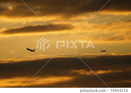 Two early morning takeoffs Two early morning takeoffs 74454210