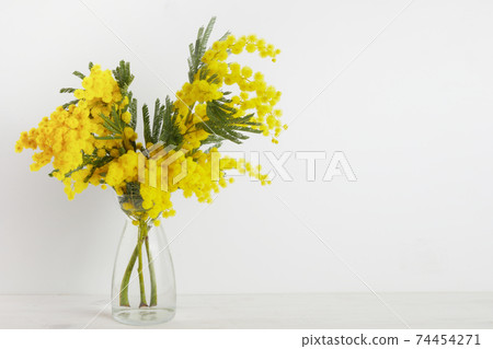 Bouquet of yellow mimosa flowers in a vase background. Concept of women's or mothers day 74454271