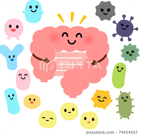 大腸和腸道菌群的特徵 74454507