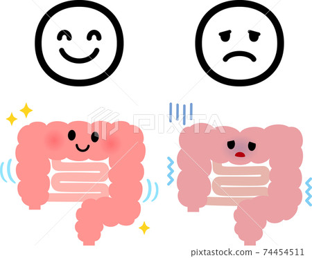 Healthy bowel, weak bowel and facial expression icon Healthy bowel, weak bowel and facial expression icon 74454511
