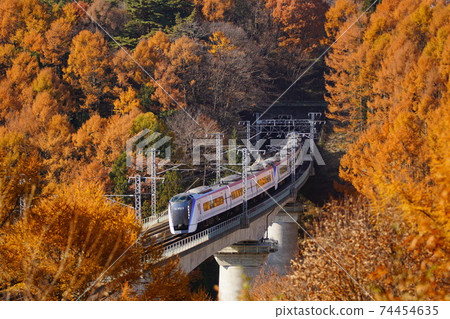 落葉松和火車 74454635