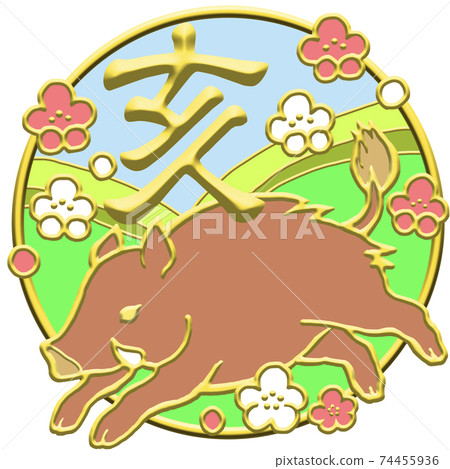 年齡 年齡 74455936