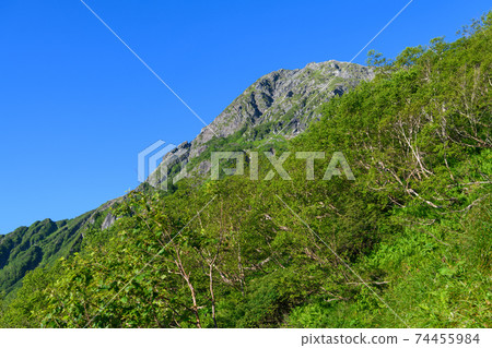 從草滑梯上看到的北山 74455984