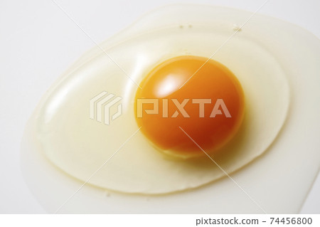 生雞蛋 生雞蛋 74456800