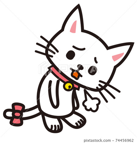 White cat sighing down 74456962