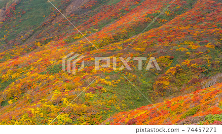 栗駒山神的地毯全山秋葉之美日本第一大紅葉山日本最佳景觀之一 栗駒山神的地毯全山秋葉之美日本第一大紅葉山日本最佳景觀之一 74457271