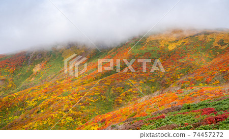 栗駒山神的地毯全山秋葉之美日本第一大紅葉山日本最佳景觀之一 栗駒山神的地毯全山秋葉之美日本第一大紅葉山日本最佳景觀之一 74457272