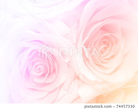 beautiful pastel flowers background suitable for use in graphics about love, marriage, and Valentine's Day. beautiful pastel flowers background suitable for use in graphics about love, marriage, and Valentine's Day. 74457330