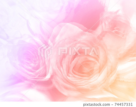 beautiful pastel flowers background suitable for use in graphics about love, marriage, and Valentine's Day. beautiful pastel flowers background suitable for use in graphics about love, marriage, and Valentine's Day. 74457331