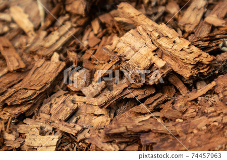 Tree shredded chips macro close up wooden texture Tree shredded chips macro close up wooden texture 74457963