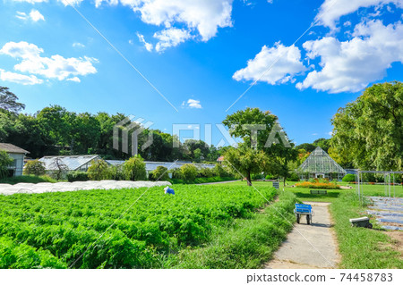 Nicknamed "dela farm" Nagoya City Agricultural Center <Nagoya City, Aichi Prefecture> 74458783
