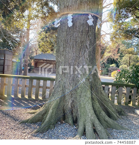 彩虹在電源點上，帶來好運 74458887