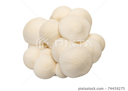 白beakameji 白beakameji 74459275