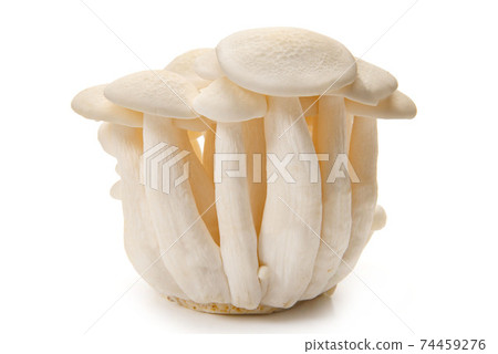 白beakameji 74459276