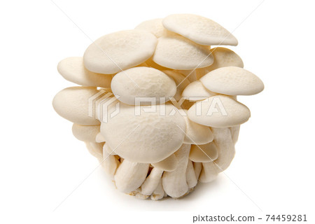 白beakameji 74459281