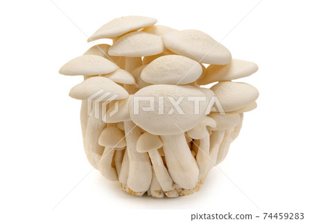 White beakameji 74459283