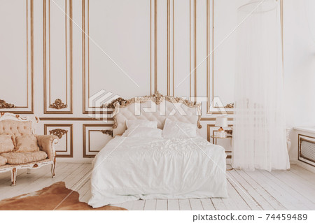 royal interior of living room 74459489