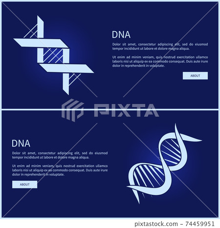 DNA Collection of Web Pages Vector Illustration DNA Collection of Web Pages Vector Illustration 74459951