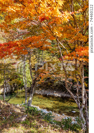 大倉瀑布（10月，陽光明媚的秋天） 74460122
