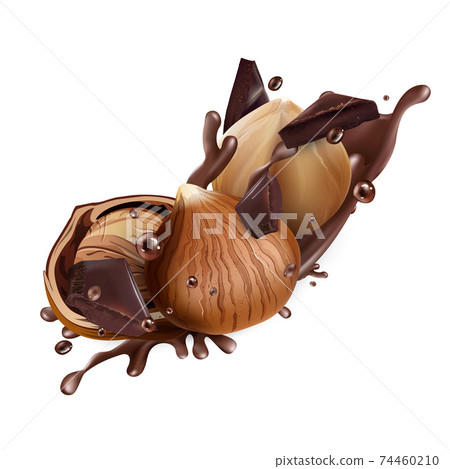 Hazelnuts with chocolate pieces and a splash of chocolate. Hazelnuts with chocolate pieces and a splash of chocolate. 74460210