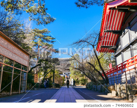 東京高hat不動產金剛寺的出路 東京高hat不動產金剛寺的出路 74460602