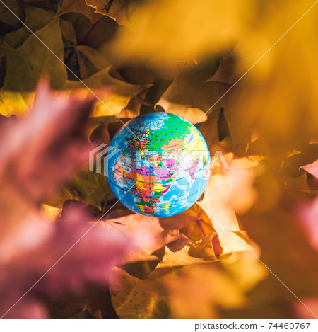 Close up of a small globe in a female hends on colorful maple leaves background. Autumn forest. Selective focus. Russia, Europe, Asia, Africa. indian summer Close up of a small globe in a female hends on colorful maple leaves background. Autumn forest. Selective focus. Russia, Europe, Asia, Africa. indian summer 74460767