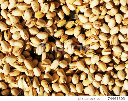 fresh pistachio texture 74461803