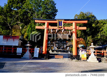 [京都]松尾大社 74461880