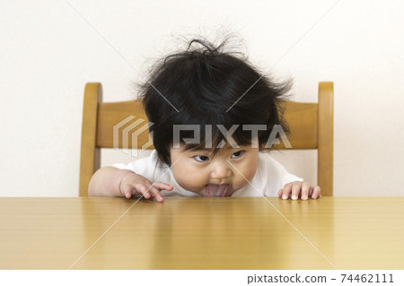 Baby sitting and licking the table (0 years old, 7 months old, girl, Japanese) 74462111