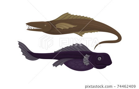 Toothy Extinct Fish from Deep Sea as Gill-bearing Aquatic Animals Vector Set Toothy Extinct Fish from Deep Sea as Gill-bearing Aquatic Animals Vector Set 74462409