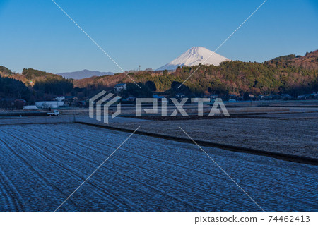 (Shizuoka Prefecture) Mt. Fuji seen from the Tanna Basin on a frosty morning (Shizuoka Prefecture) Mt. Fuji seen from the Tanna Basin on a frosty morning 74462413