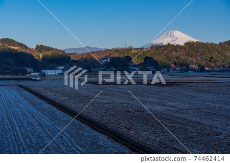(靜岡縣)在一個寒冷的早晨從塔納盆地看到的富士山 (靜岡縣)在一個寒冷的早晨從塔納盆地看到的富士山 74462414