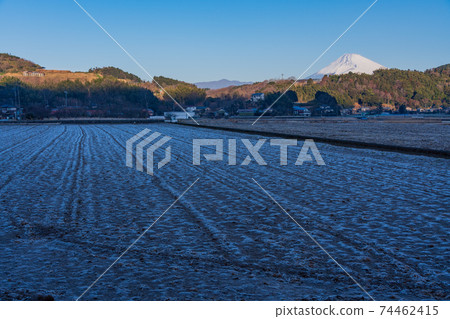 (靜岡縣)在一個寒冷的早晨從塔納盆地看到的富士山 (靜岡縣)在一個寒冷的早晨從塔納盆地看到的富士山 74462415