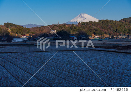 (Shizuoka Prefecture) Mt. Fuji seen from the Tanna Basin on a frosty morning 74462416