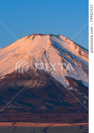 Red Fuji in severe winter (close-up) Red Fuji in severe winter (close-up) 74462437