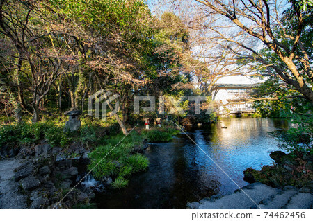 春天的春天池塘 春天的春天池塘 74462456
