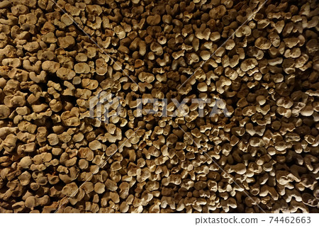 Human bones and skulls as pirate texture 74462663