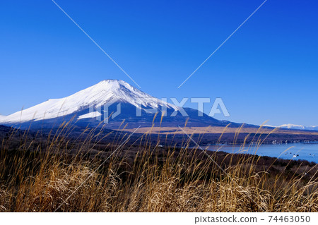 [Yamanashi] Lake Yamanaka and Mt. Fuji seen from the panoramic stand (winter) 74463050