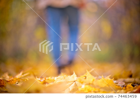Yellow leaf stuck to the women shoe during a walk through the autumn forest. Indian summer season Yellow leaf stuck to the women shoe during a walk through the autumn forest. Indian summer season 74463459
