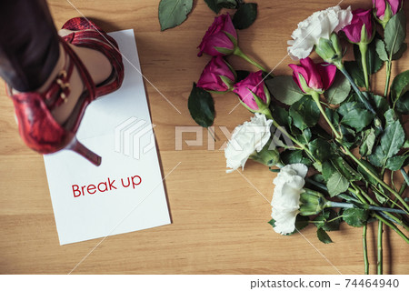 Woman legs in red high heel shoes standing on paper with word break up on a floor with withered flowers. Heart broken. Divorce 74464940