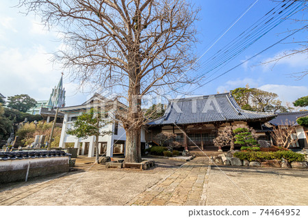 Hirado Xavier Memorial Church and Zuiunji Temple, Hirado City, Nagasaki Prefecture Hirado Xavier Memorial Church and Zuiunji Temple, Hirado City, Nagasaki Prefecture 74464952