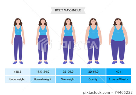 Body mass index woman 74465222