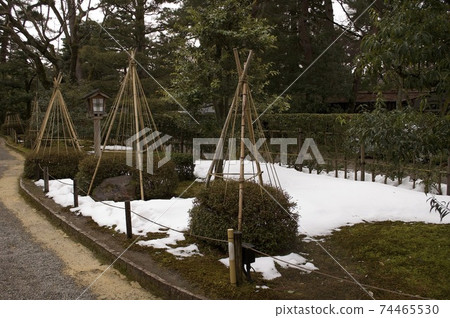 Kenrokuen Snow Hanging Kenrokuen Snow Hanging 74465530