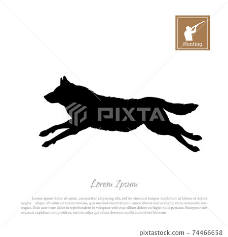 Black silhouette of running wolf on white background. Isolated forest anima 74466658