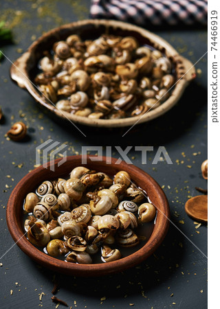 spanish recipe of snails cooked in brow spanish recipe of snails cooked in brow 74466919