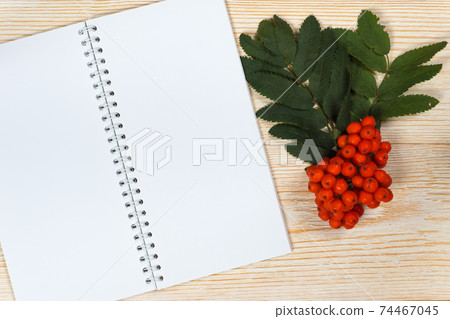 rowan ripe and opened blank notepad on white wooden table rowan ripe and opened blank notepad on white wooden table 74467045