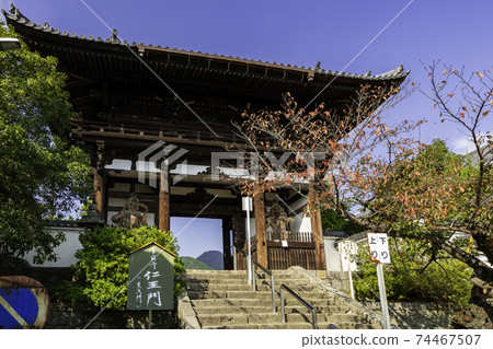 奈良縣葛城市Taima-dera Niomon 74467507