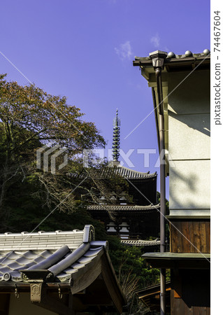 奈良縣葛城市Taima-dera West Tower 奈良縣葛城市Taima-dera West Tower 74467604