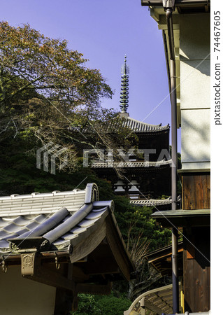 奈良縣葛城市Taima-dera West Tower 奈良縣葛城市Taima-dera West Tower 74467605